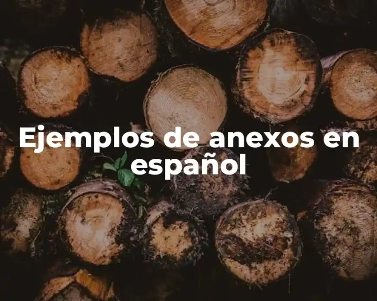 Ejemplos de anexos en español