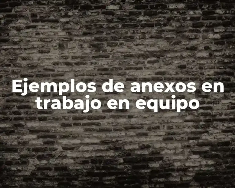 Ejemplos de anexos en trabajo en equipo
