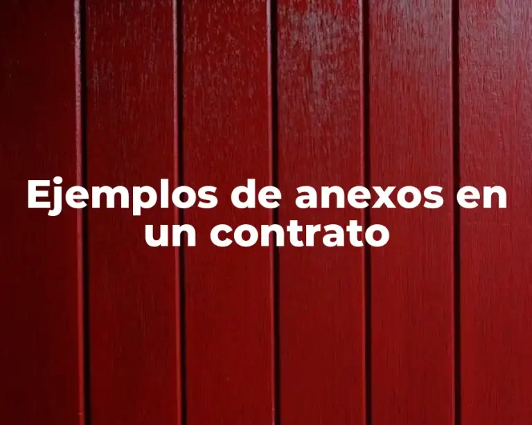 Ejemplos de anexos en un contrato