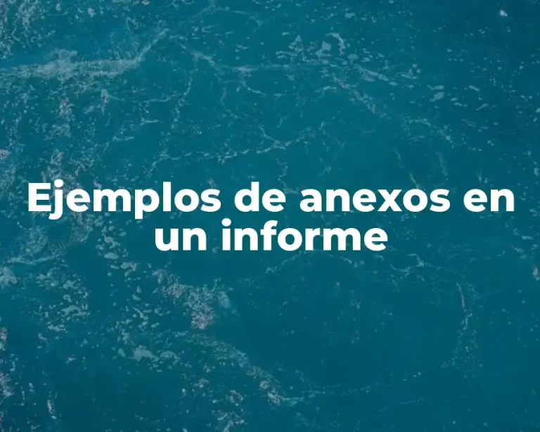 Ejemplos de anexos en un informe