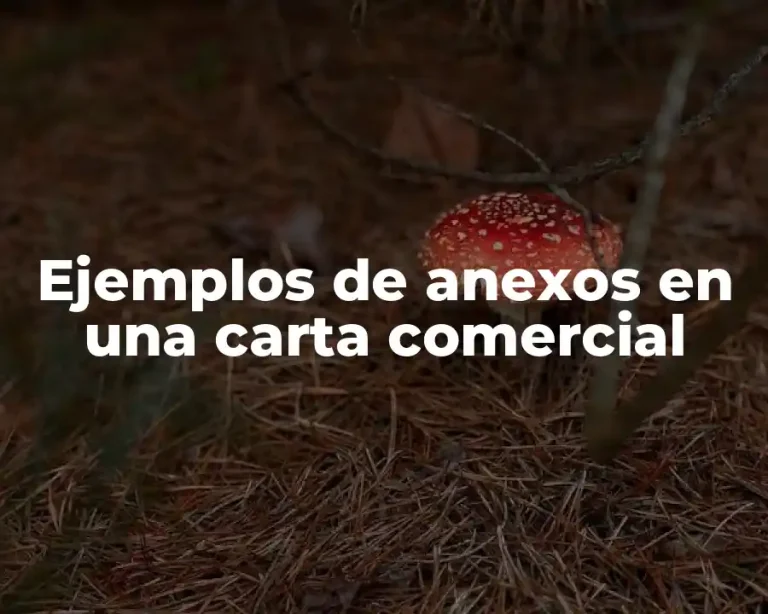 Ejemplos de anexos en una carta comercial