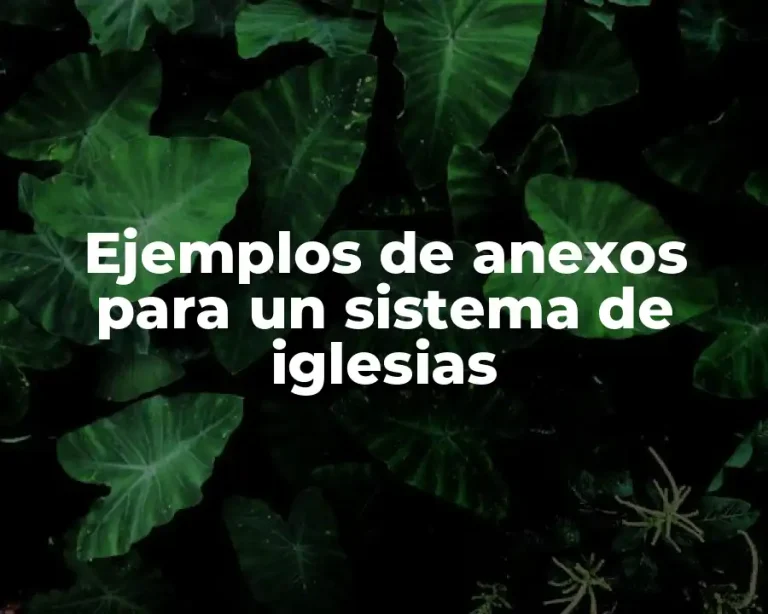 Ejemplos de anexos para un sistema de iglesias
