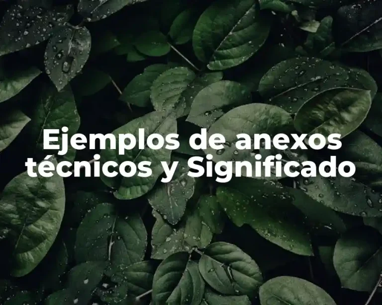 Ejemplos de anexos técnicos y Significado