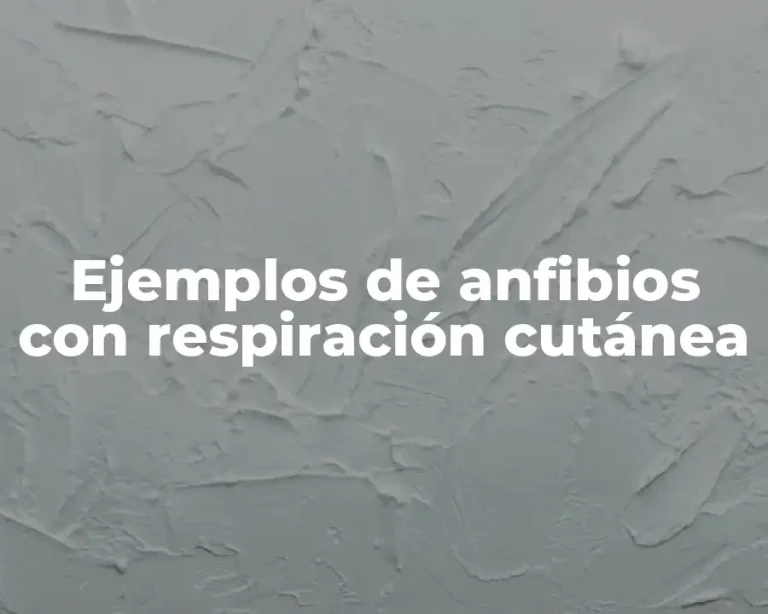 Ejemplos de anfibios con respiración cutánea