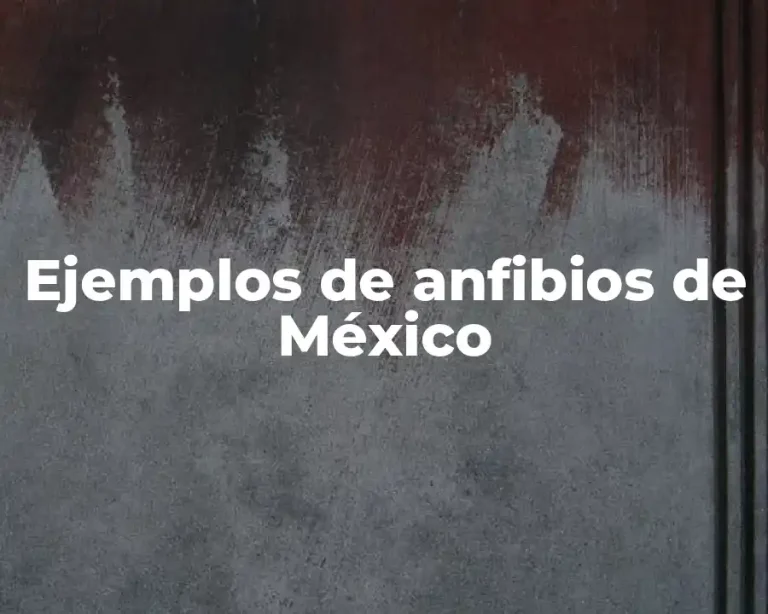 Ejemplos de anfibios de México