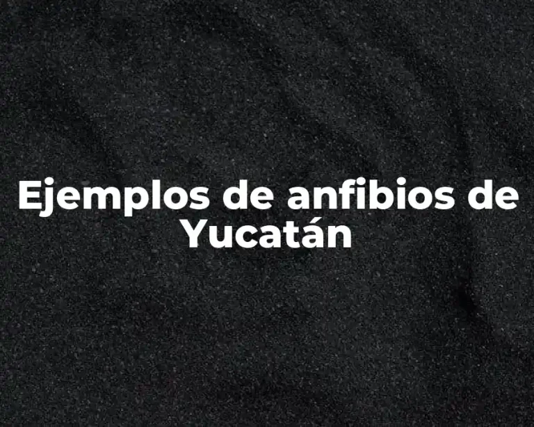 Ejemplos de anfibios de Yucatán