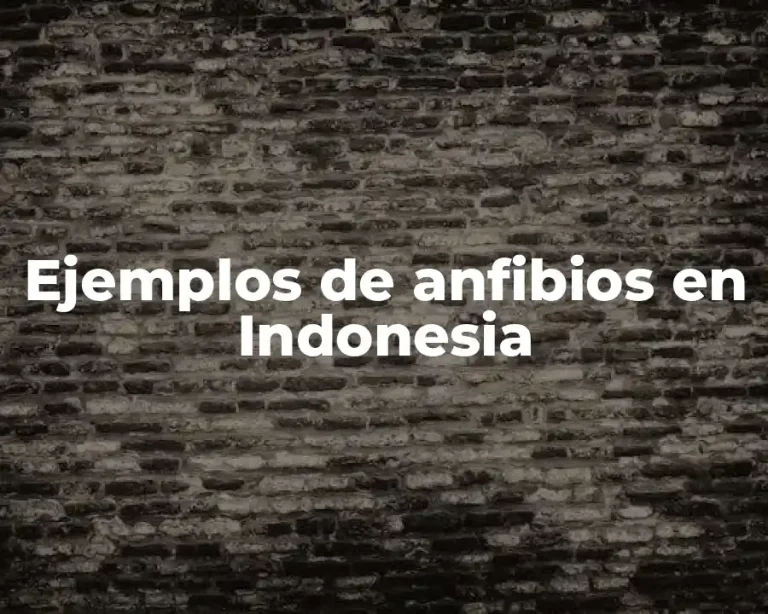 Ejemplos de anfibios en Indonesia