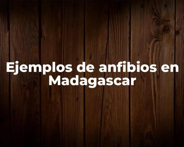 Ejemplos de anfibios en Madagascar