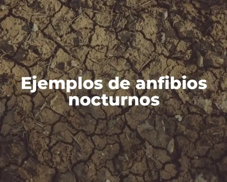 Ejemplos de anfibios nocturnos