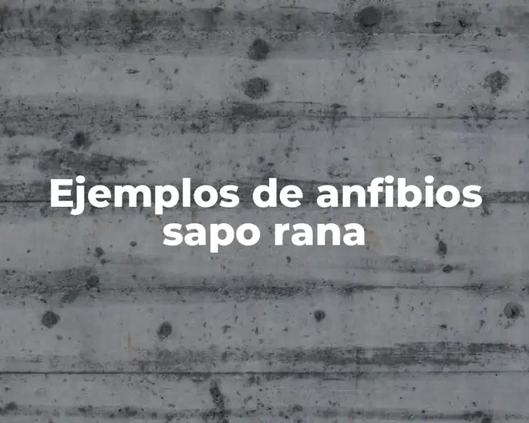 Ejemplos de anfibios sapo rana