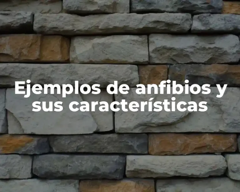 Ejemplos de anfibios y sus características