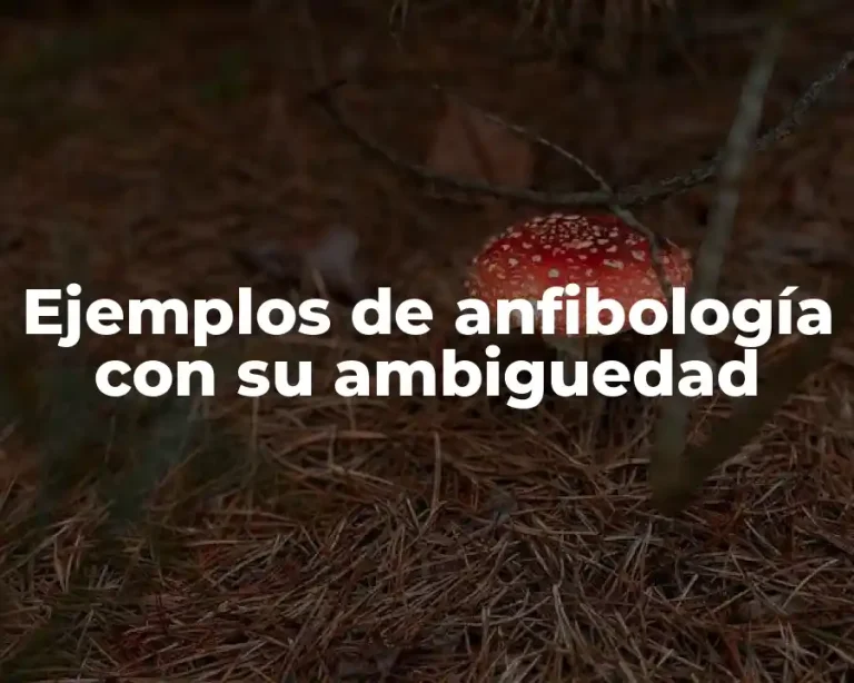 Ejemplos de anfibología con su ambiguedad