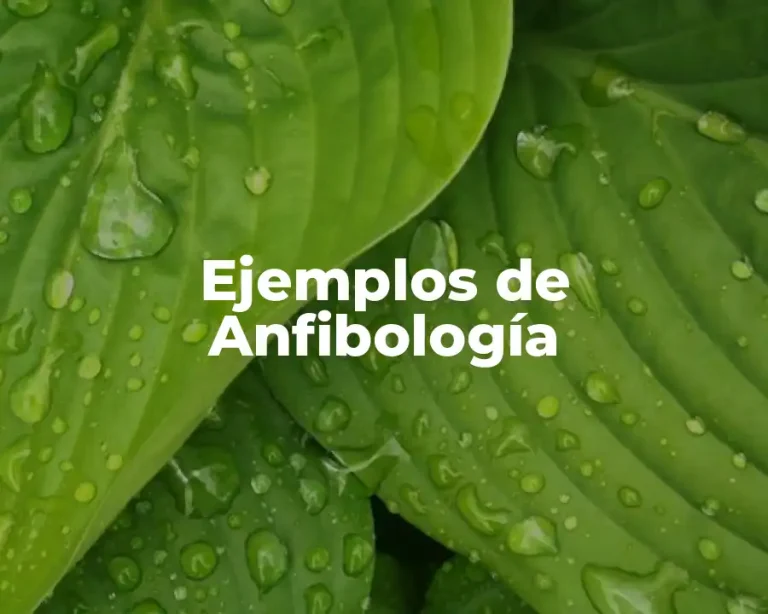 Ejemplos de Anfibología