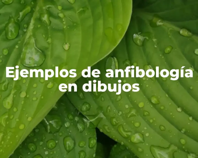 Ejemplos de anfibología en dibujos