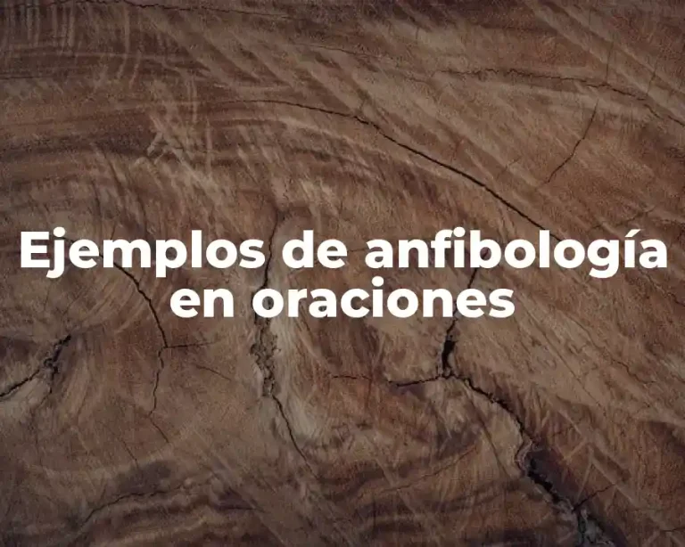 Ejemplos de anfibología en oraciones