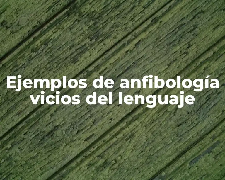 Ejemplos de anfibología vicios del lenguaje
