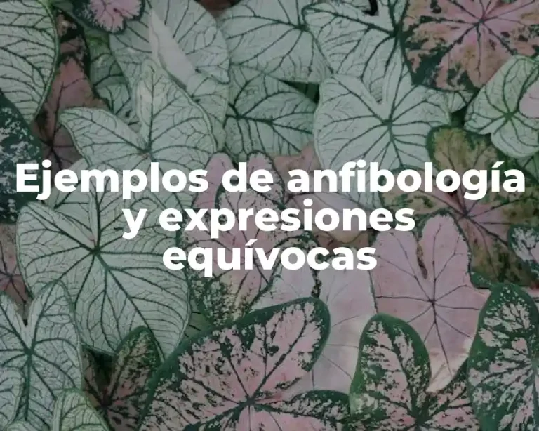 Ejemplos de anfibología y expresiones equívocas