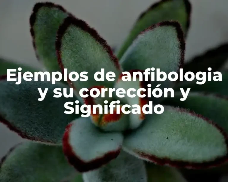 Ejemplos de anfibologia y su corrección y Significado