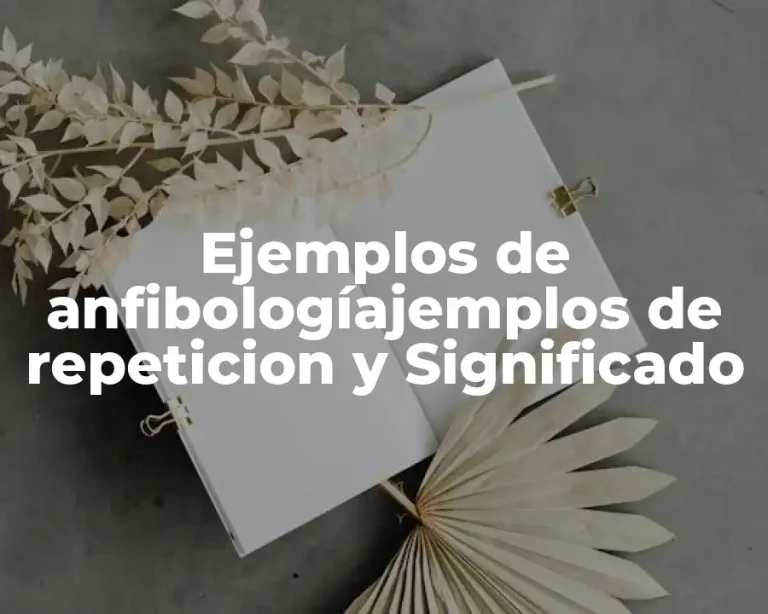 Ejemplos de anfibologíajemplos de repeticion y Significado