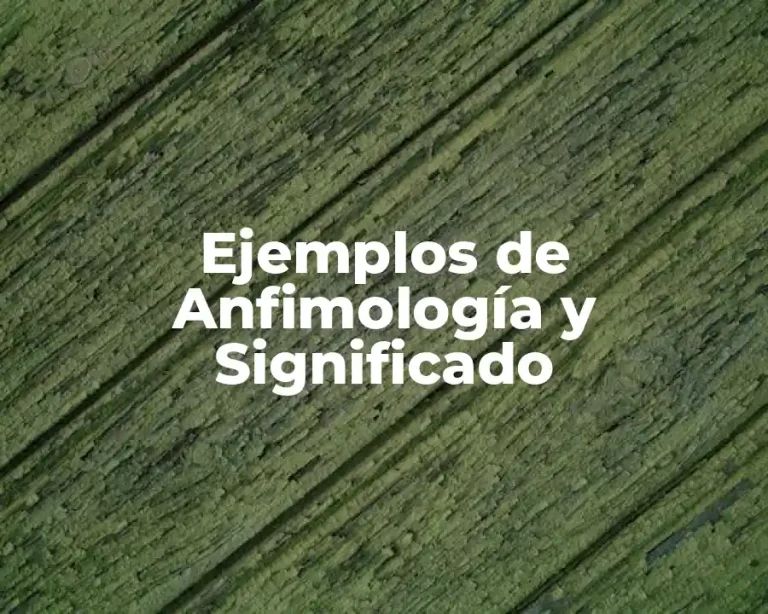 Ejemplos de Anfimología y Significado