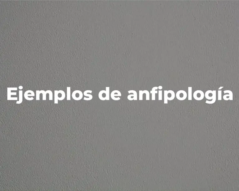 Ejemplos de anfipología