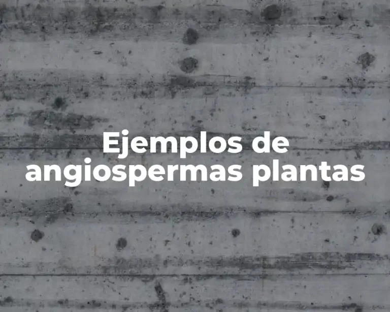 Ejemplos de angiospermas plantas