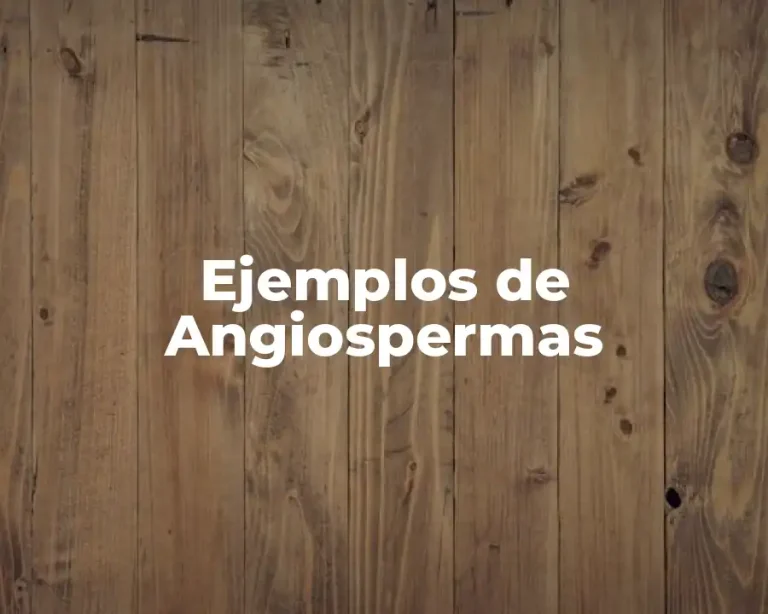 Ejemplos de Angiospermas