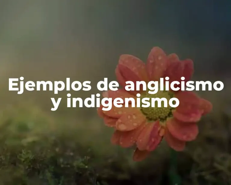 Ejemplos de anglicismo y indigenismo