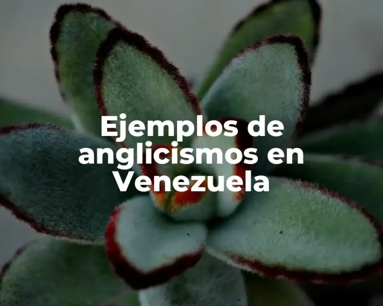 Ejemplos de anglicismos en Venezuela