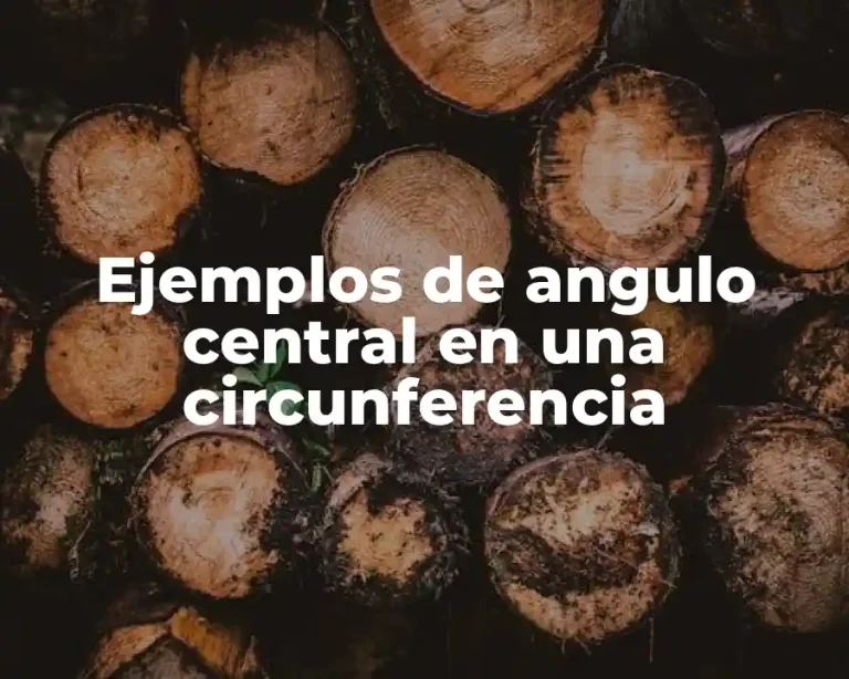 Ejemplos de angulo central en una circunferencia
