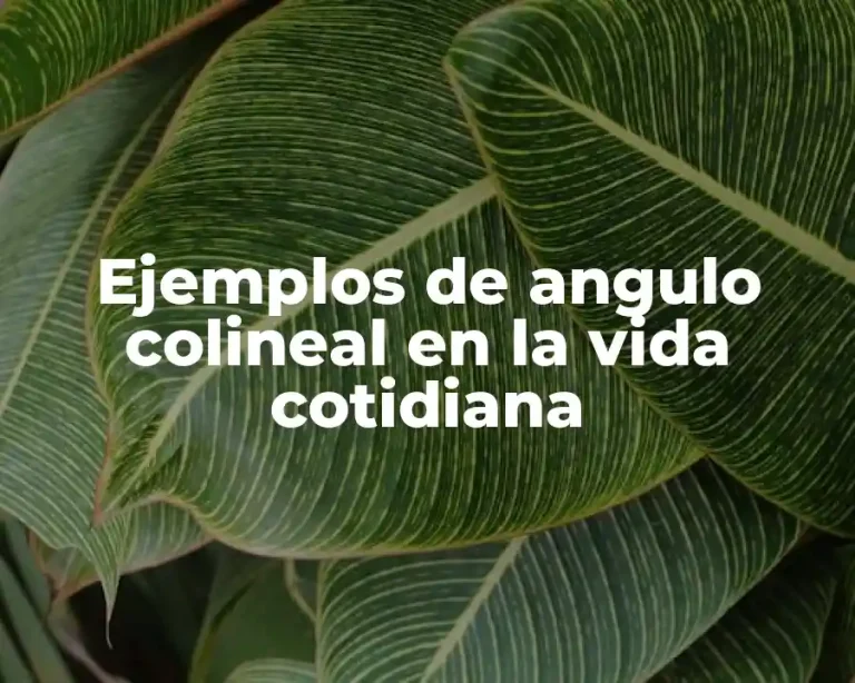 Ejemplos de angulo colineal en la vida cotidiana