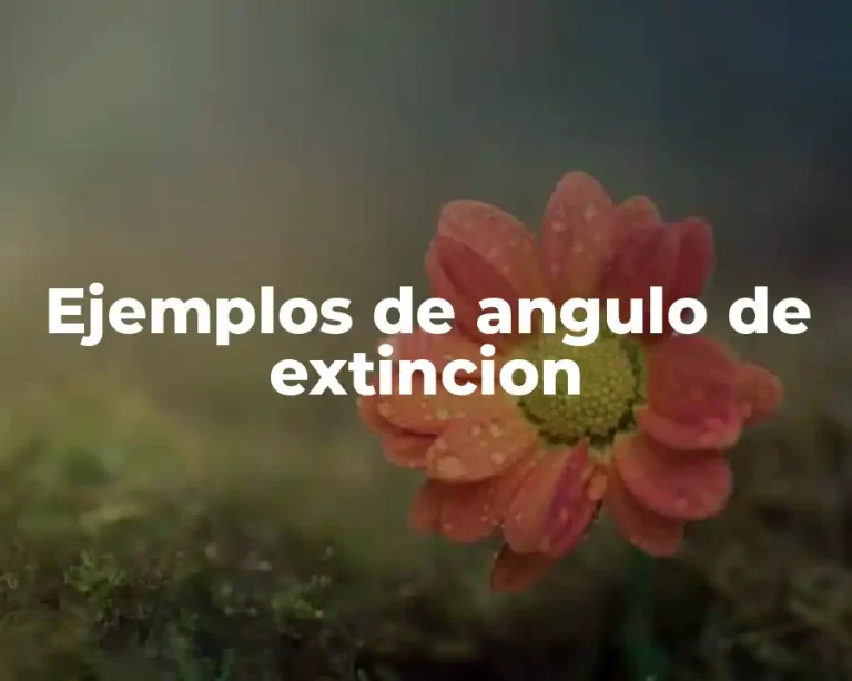 Ejemplos de angulo de extincion