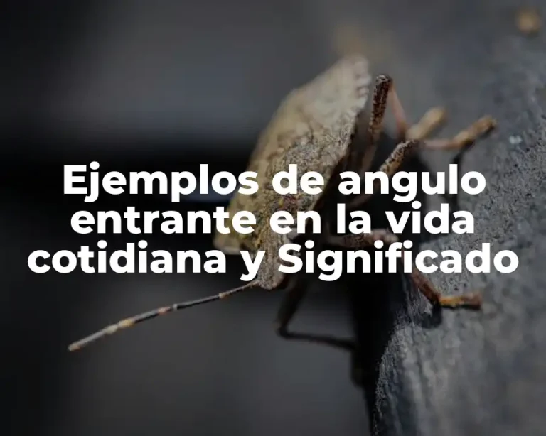 Ejemplos de angulo entrante en la vida cotidiana y Significado