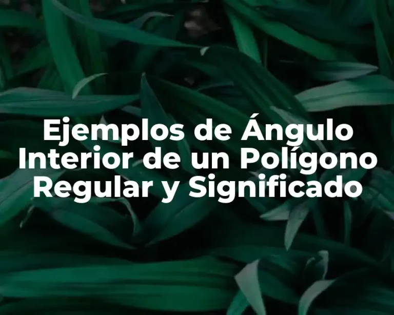 Ejemplos de Ángulo Interior de un Polígono Regular y Significado