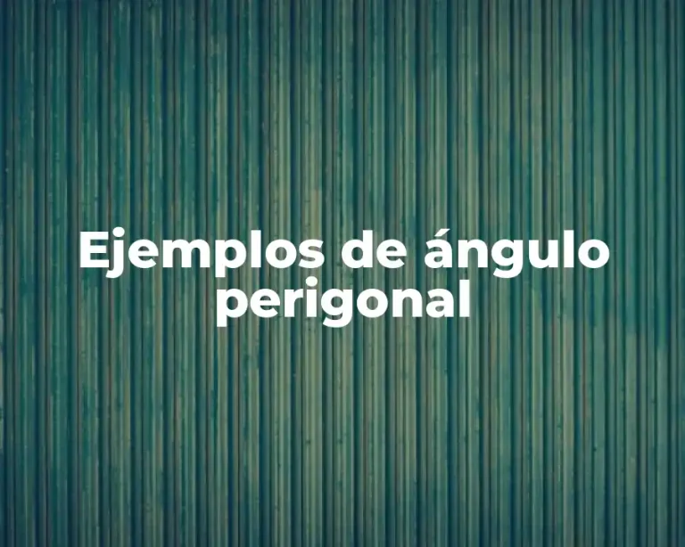 Ejemplos de ángulo perigonal