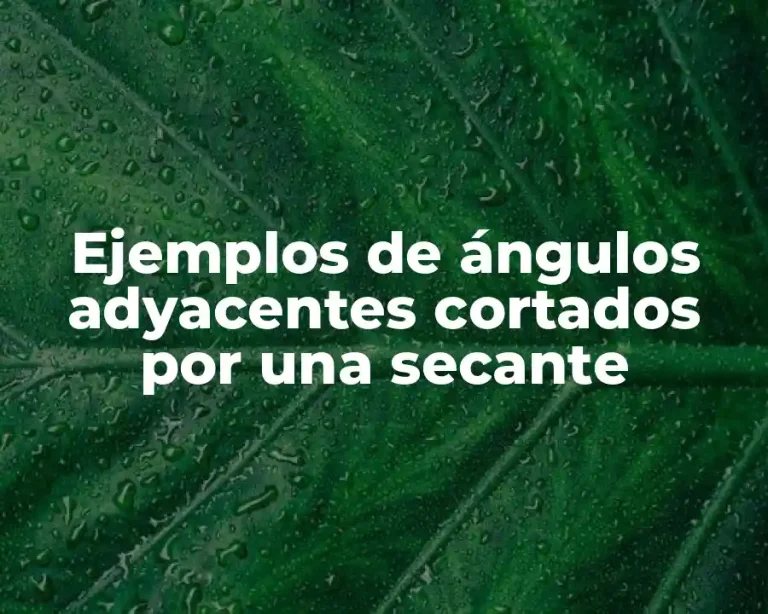 Ejemplos de ángulos adyacentes cortados por una secante