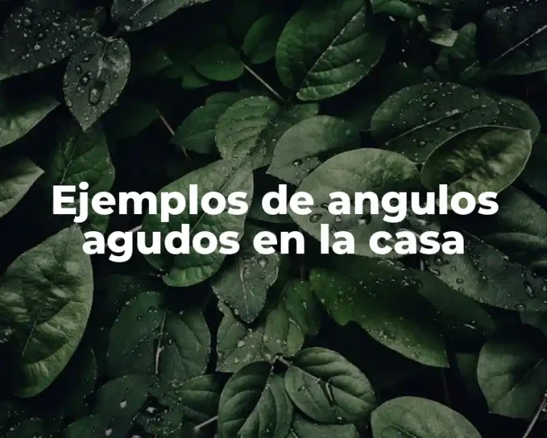 Ejemplos de angulos agudos en la casa