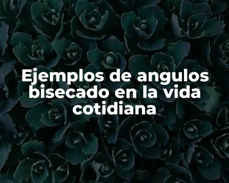 Ejemplos de angulos bisecado en la vida cotidiana