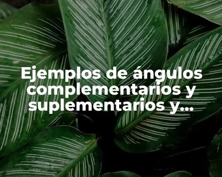 Ejemplos de ángulos complementarios y suplementarios y Significado