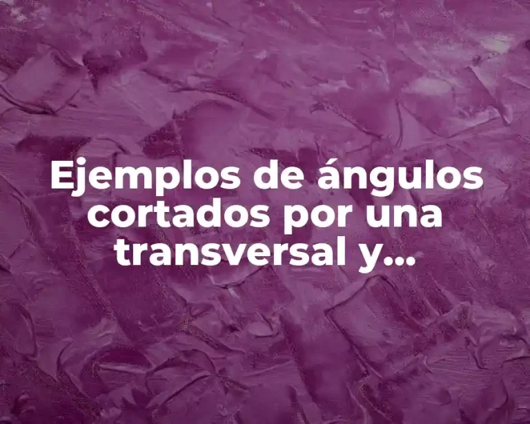 Ejemplos de ángulos cortados por una transversal y Significado