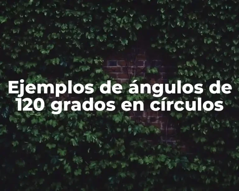 Ejemplos de ángulos de 120 grados en círculos
