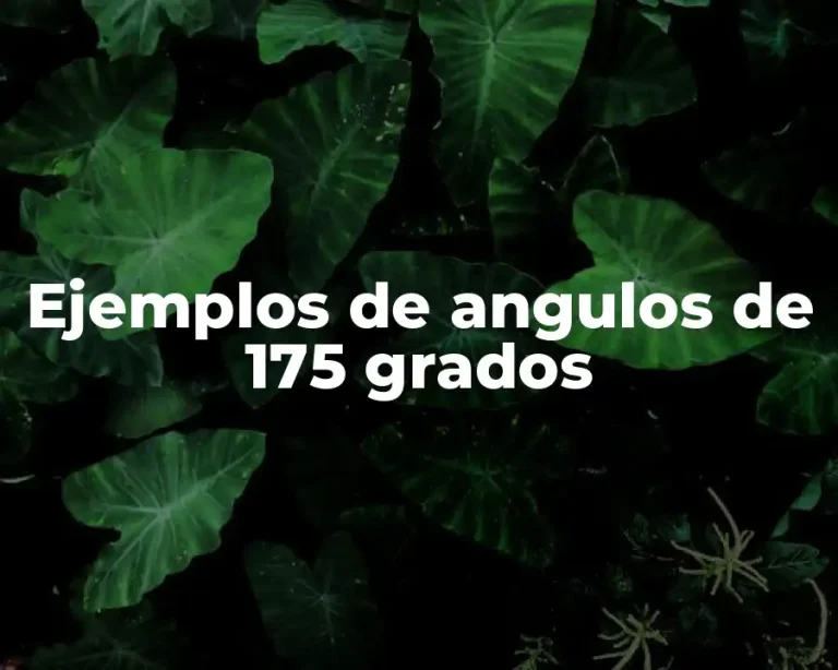 Ejemplos de angulos de 175 grados