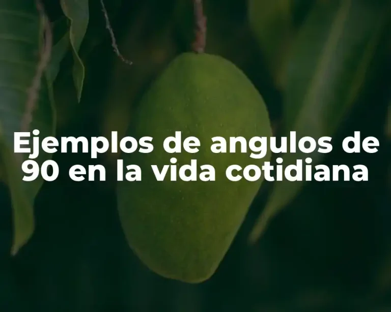 Ejemplos de angulos de 90 en la vida cotidiana