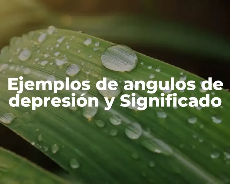 Ejemplos de angulos de depresión y Significado