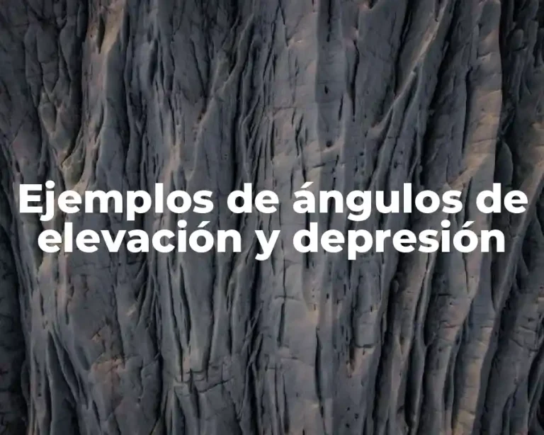 Ejemplos de ángulos de elevación y depresión