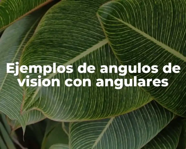 Ejemplos de angulos de vision con angulares