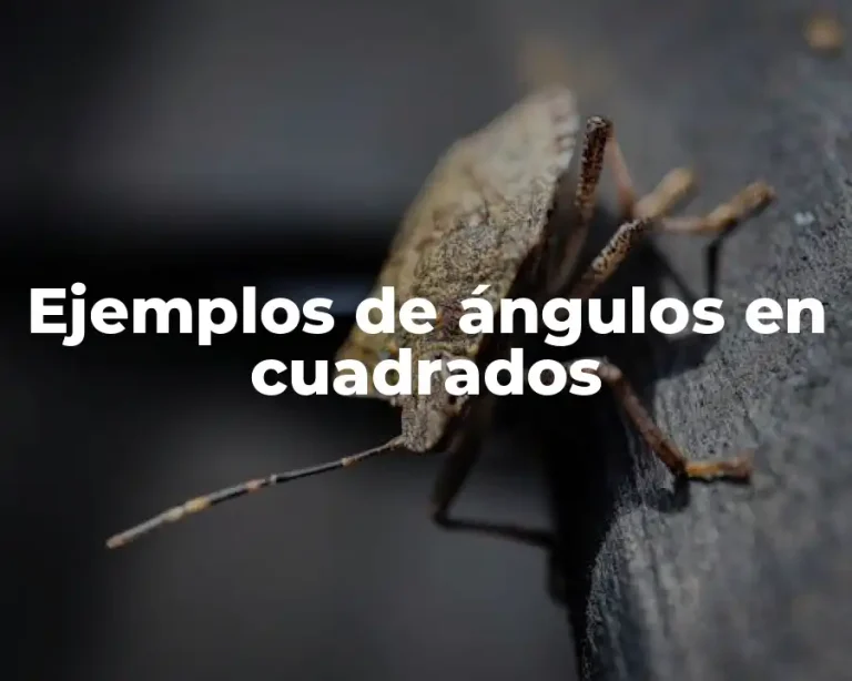 Ejemplos de ángulos en cuadrados