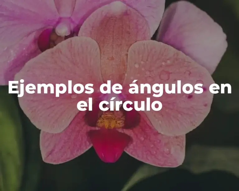 Ejemplos de ángulos en el círculo