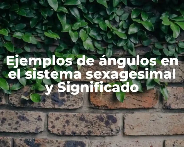 Ejemplos de ángulos en el sistema sexagesimal y Significado