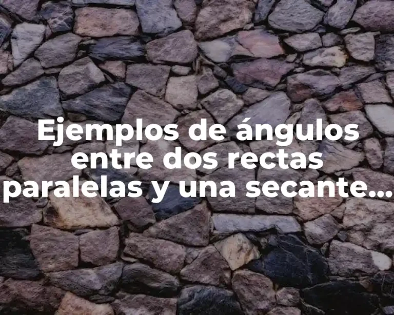 Ejemplos de ángulos entre dos rectas paralelas y una secante y Significado